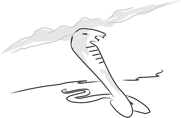 EPS 클립아트 동물 구름 척추동물 한마리 일러스트 파충류 사람없음 야외 사막 십이지신 운세 뱀띠 뱀 독사 코브라 국내일러스트 자연요소 1 파일형식 벡터