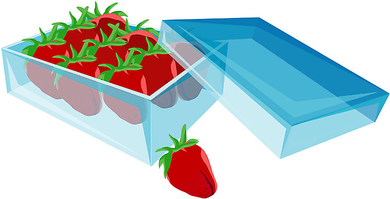 EPS 식물 음식 컬러 과일 일러스트 포장 딸기 사람없음 빨간색 파란색 소풍 사각형 뚜껑 오픈 도시락 국내일러스트 도형 야외활동 파일형식 벡터