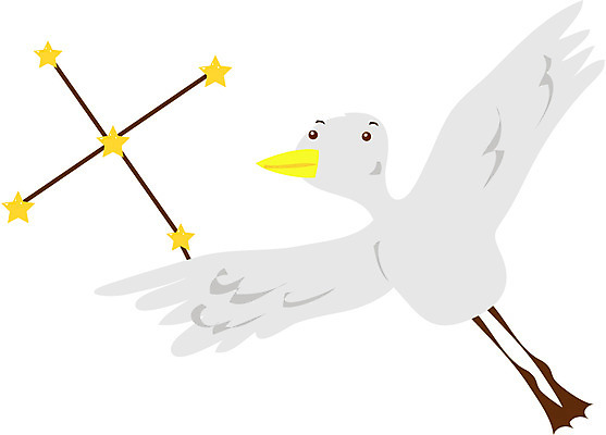 EPS 클립아트 동물 척추동물 캐릭터 한마리 별 날개 일러스트 조류 사람없음 별자리 비행 백조 백조자리 일러캐릭터 자연요소 1 파일형식 벡터