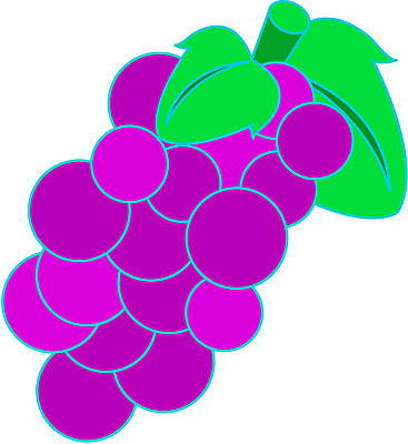 EPS 식물 열매 음식 컬러 한송이 과일 일러스트 포도 사람없음 초록색 보라색 포도알 국내일러스트 1 송이 파일형식 벡터