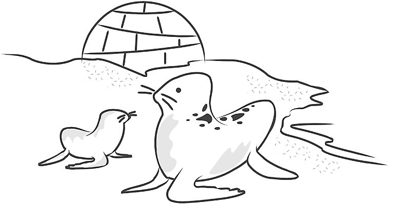 EPS 클립아트 동물 척추동물 야생동물 바다 외국문화 두마리 일러스트 포유류 자연 사람없음 야외 바다동물 바다표범 물개 남극 극지방 이글루 국내일러스트 문화 2 수중동물 생태계 지역 파일형식 벡터