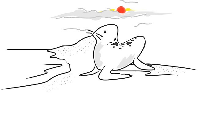 EPS 주간 클립아트 동물 척추동물 한마리 야생동물 바다 일러스트 포유류 자연 해변 사람없음 야외 모래사장 태양 바다동물 일몰 바다표범 물개 국내일러스트 자연요소 1 노을 수중동물 생태계 파일형식 벡터