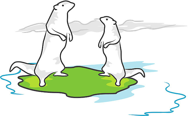 EPS 클립아트 동물 척추동물 육지동물 호수 야생동물 두마리 일러스트 포유류 사람없음 야외 강 물가 강가 수달 국내일러스트 2 풍경 파일형식 벡터