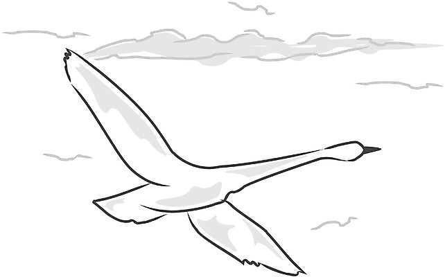 EPS 클립아트 동물 구름 척추동물 한마리 야생동물 일러스트 조류 하늘 사람없음 야외 비행 백조 국내일러스트 자연요소 1 파일형식 벡터