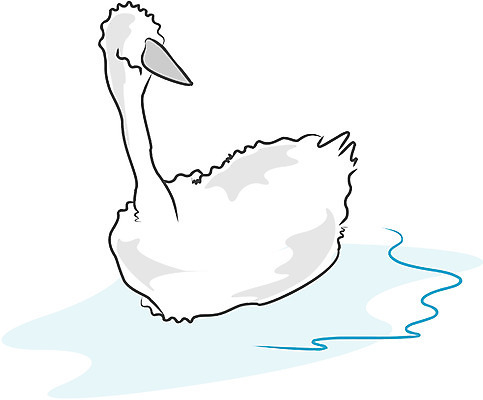 EPS 클립아트 동물 척추동물 한마리 야생동물 일러스트 조류 사람없음 물가 강가 백조 국내일러스트 1 풍경 강 파일형식 벡터