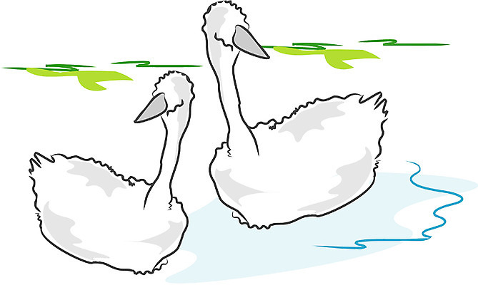 EPS 클립아트 동물 척추동물 야생동물 두마리 일러스트 조류 사람없음 물가 강가 백조 국내일러스트 2 풍경 강 파일형식 벡터