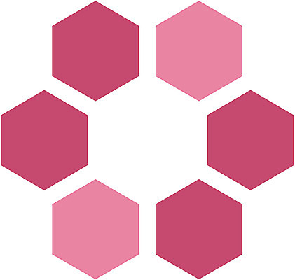 EPS 클립아트 문양 디자인 꽃 분홍색 컬러 백그라운드 무늬 꽃무늬 일러스트 식물문양 사람없음 전통문양 육각형 국내일러스트 도형 식물 전통 파일형식 벡터