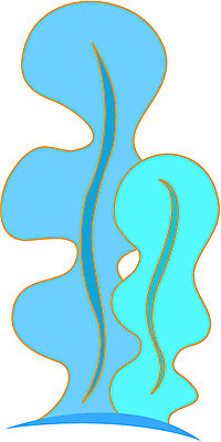 EPS 클립아트 식물 컬러 하늘색 일러스트 사람없음 바다동물 해조류 해양식물 미역 국내일러스트 동물 바다 파란색 수중동물 수중식물 파일형식 벡터