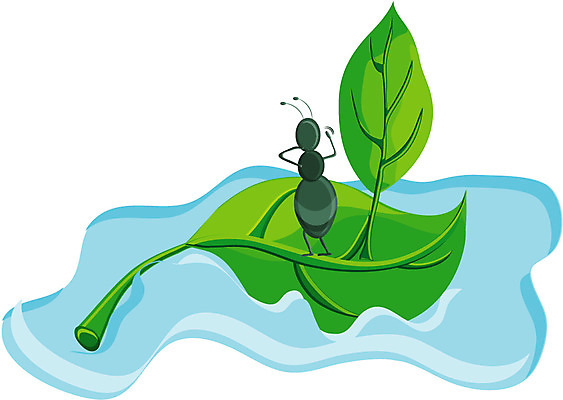 EPS 클립아트 식물 동물 한마리 곤충 잎 일러스트 나뭇잎 사람없음 초록색 물 강 봄 개 벌레 개미 나뭇잎배 표류 국내일러스트 자연요소 1 계절 컬러 배_교통 포유류 모션 파일형식 벡터