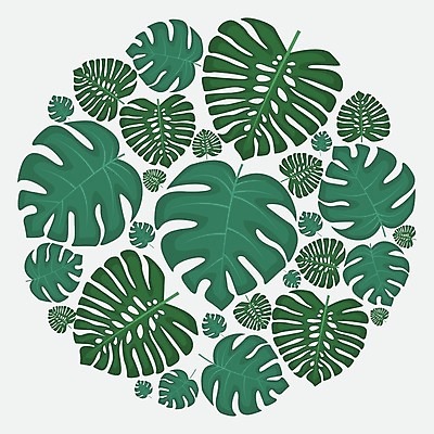 EPS 해외이미지 나무 식물 디자인 백그라운드 잎 패턴 일러스트 추상 프레임 손바닥 미술 사람없음 그래픽 장식 초록색 패턴백그라운드 그림 원예 하와이 비네팅 월계수 이국적 파라다이스 알로하 국경 해외202004 해외일러스트 손 컬러 무늬 문화예술 촬영기법 취미 미국 인사 파일형식 벡터