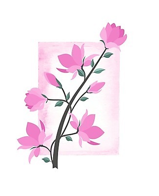 EPS 해외이미지 꽃 분홍색 일러스트 사람없음 봄 낭만 나뭇가지 목련 해외202004 해외일러스트 나무 식물 계절 컬러 컨셉 파일형식 벡터