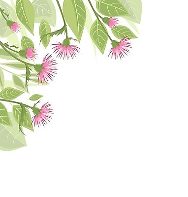 EPS 해외이미지 식물 디자인 꽃 꽃다발 결혼 백그라운드 잎 꽃무늬 일러스트 자연 벽지 프레임 장식 초록색 정원 화환 봄 낭만 벚꽃 나뭇가지 축하 인사 원형 생일 약초 허브 심볼 그림 복고 초대 엉겅퀴 내추럴 고립 구성 빅토리아 이국적 스코틀랜드 해외202004 해외일러스트 도형 나무 계절 기념일 컬러 컨셉 무늬 영국 이벤트 예절 풀_식물 생태계 파일형식 벡터