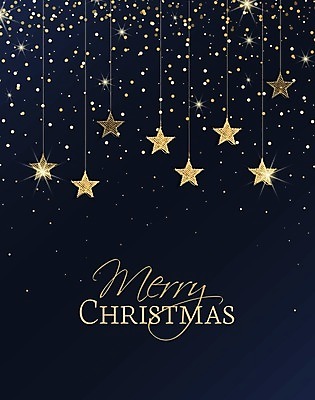 EPS 해외이미지 모양 템플릿 디자인 배너 행복 포스터 별 백그라운드 크리스마스 패턴 일러스트 벽지 하늘 추상 휴가 불꽃 새로움 새해 기념 그래픽 장식 빛 반짝임 파티 우주 축하 인사 신용카드 생일 황금 고급 우아함 연도 질감 초대 꽃가루 마법 국경 해외202004 해외일러스트 자연요소 기념일 감정 컨셉 무늬 모션 불 이벤트 금융 예절 가루 파일형식 벡터