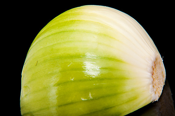 포토 JPG 해외이미지 식물 음식 조각 백그라운드 농업 채소 재료 자연 양파 건강 요리 사람없음 빨간색 초록색 컬러풀 샐러드 흰색 신선 양념 닫기 허브 향신료 유기농 날것 내추럴 채식주의자 해외202004 해외포토 웰빙 산업 컬러 모션 생태계 채식 향미료 파일형식