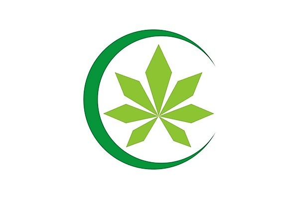 EPS 해외이미지 식물 디자인 음식 잎 농업 일러스트 자연 건강 씨앗 그래픽 치료 초록색 약 잡초 액체 삼 연기 떨어짐 약초 기름 허브 심볼 에코 유기농 내추럴 돌봄 바이오 불법 추출 대마초 마리화나 해외202004 해외일러스트 웰빙 산업 컬러 컨셉 채소 의학 모션 환경 풀 범죄 생태계 마약 파일형식 벡터