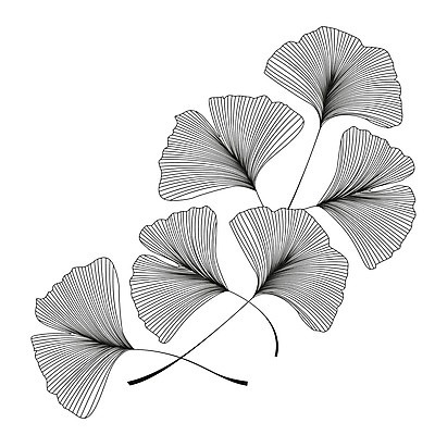 EPS 해외이미지 나무 식물 손 디자인 실루엣 아시아 백그라운드 잎 일러스트 자연 건강 목재 장식 세트 약 일본 검은색 스파 화장품 가을 흰색 나뭇가지 신선 약초 스케치 허브 심볼 묘사 그림 유기농 복고 테라피 내추럴 고립 해외202004 해외일러스트 웰빙 계절 나라 컬러 재료 의학 촬영기법 미술 신체부위 뷰티 풀_식물 생태계 파일형식 벡터