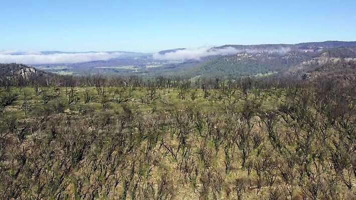 나무 구름 여행 자연 하늘 불 날씨 산 건조 안테나 풍경 사람없음 야외 초록색 여름 파란색 햇빛 갈색 환경 계곡 검은색 뜨거움 호주 숲 땅 언덕 암초 가뭄 동영상 드론 치유 4K MP4 해외동영상 클립영상 자연요소 식물 계절 컬러 통신 태양 오세아니아 생태계 파일형식