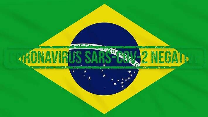 과학 백그라운드 신체 세포 건강 사람없음 치료 초록색 약 자유 깃발 고리 바이러스 질병 디지털합성 예방 생물학 감염 미생물 애니메이션 브라질 우표 박테리아 돌리기 백신 부정적 전염병 증상 치유 항생제 사스 브라질사람 코로나바이러스 4K MOV 해외동영상 클립영상 교육 감정 컬러 컨셉 의학 모션 생물 남아메리카 동영상 파일형식