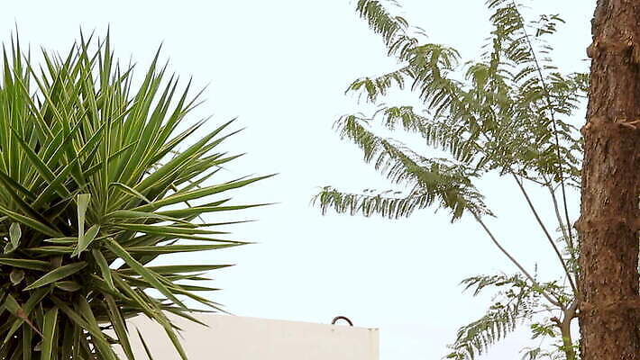 식물 중동 건축양식 모바일 주택 안전 사람없음 야외 건물 금속 정원 로켓 도시 행운 보호 위험 폭격 폭탄 전쟁 보안 고립 이스라엘 MOV 해외동영상 클립영상 건축물 건축 나라 컨셉 재질 공격 폭발물 동영상 서아시아 파일형식