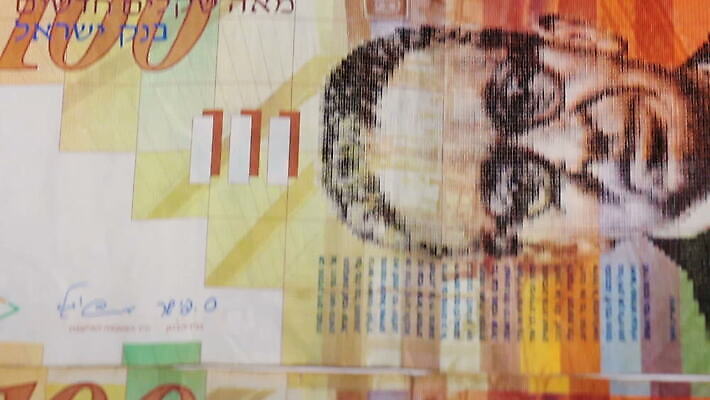 백그라운드 이동 지폐 돈 비즈니스 모션 성공 사람없음 금융 경제 쌓기 힘 저축 흰색 그룹 변화 재산 닫기 주식 보따리 무역 회전 상업 가치 흙더미 대출 되감기 세금 위기 이스라엘 많음 MOV 해외동영상 클립영상 산업 컬러 컨셉 흙 동영상 서아시아 파일형식 더미