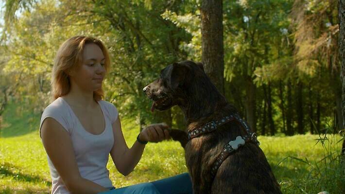 동물 공원 여자 행복 호수 자연 놀이 휴식 함께함 사랑 한명 사람 야외 초록색 친구 반려동물 귀여움 점프 개 핥기 만족 주인 송곳니 명령 돌봄 복종 충실 4K MOV 해외동영상 슬로모션 클립영상 1 공공시설 감정 컬러 컨셉 포유류 관계 모션 촬영기법 치아 생태계 동영상 파일형식