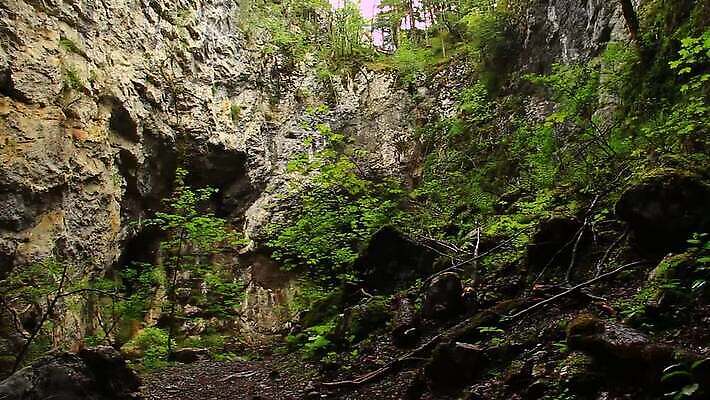 나무 식물 도로 백그라운드 자국 자연 산 풍경 사람없음 건물 목재 초록색 물 하이킹 가을 소나무 체리 개울 역사 숲 신비 대만 지역 내추럴 뿌연 선로 옛날 전국 MOV 해외동영상 클립영상 자연요소 건축물 계절 아시아 길 컬러 컨셉 과일 재료 교통시설 레저 강 생태계 동영상 파일형식
