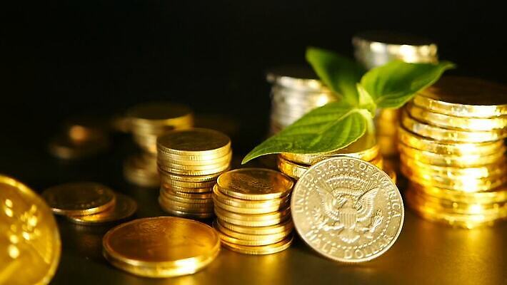 식물 컨셉 잎 돈 비즈니스 사람없음 초록색 금융 경제 빛 달러 금속 동전 검은색 거래 저축 성장 기둥 신선 시장 재산 황금 주식 상패 심볼 투자 보물 월급 빚 고립 구성 돌봄 센트 자금 MOV 해외동영상 클립영상 건축 컬러 모션 재질 상_우승 동영상 파일형식