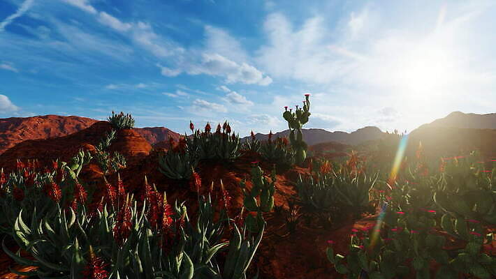 나무 식물 꽃 화분 음료 음식 백그라운드 잎 밭 농업 오렌지 과일 자연 하늘 산 선인장 실내 취미 사람없음 야외 초록색 파란색 농장 환경 정원 사막 성장 알코올 가시 묘사 유기농 뿌리 내추럴 테킬라 다육식물 마다가스카르 스리랑카 이국적 4K MOV 해외동영상 클립영상 웰빙 산업 아시아 컬러 주류 내부 생태계 동영상 파일형식