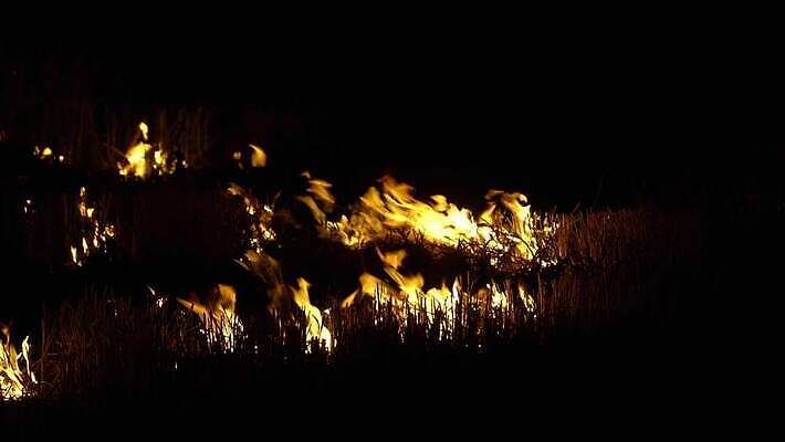 나무 실루엣 백그라운드 자연 불 불꽃 산 건조 사람없음 목재 빨간색 여름 환경 검은색 손상 시골 긴급 뜨거움 오염 변화 구출 닫기 연기 야간 숲 위험 언덕 장면 지역 생태학 재앙 점화 화상 카피스페이스 4K MP4 해외동영상 클립영상 자연요소 식물 계절 교육 컬러 컨셉 재료 모션 촬영기법 공백 도움 상처 생태계 동영상 파일형식