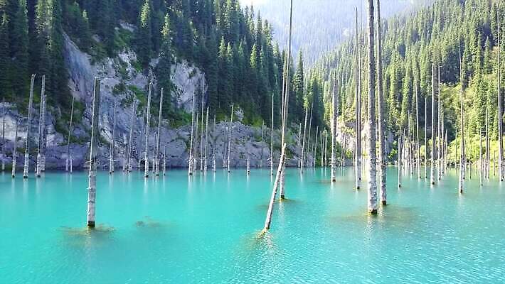 나무 공원 호수 여행 자연 하늘 산 안테나 파노라마 사람 풍경 사람없음 초록색 물 여름 파란색 계곡 침묵 산책 나뭇가지 소나무 정상 숲 지역 내추럴 항공촬영 드론 전국 카자흐스탄 알마티 MP4 해외동영상 클립영상 자연요소 식물 계절 공공시설 아시아 뷰포인트 컬러 통신 휴식 촬영기법 소리 생태계 동영상 파일형식