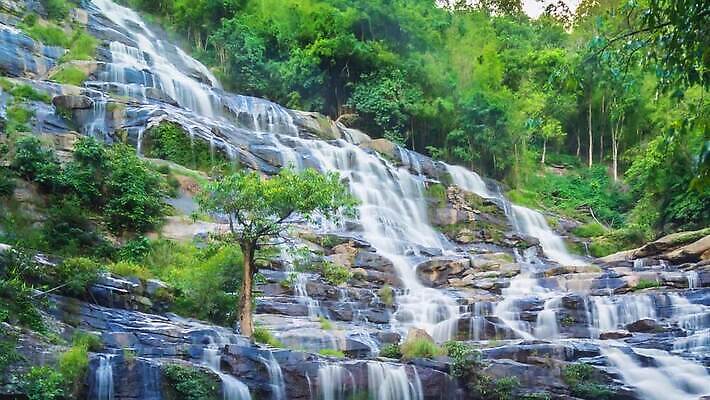 계절 공원 아시아 여행 모션 태국 자연 산 국립공원 풍경 경사 사람없음 초록색 물 강 동남아시아 봄 폭포 촉촉함 흐름 가을 바위 신선 개울 숲 큼 부드러움 느림 내추럴 랜드마크 오존 MP4 해외동영상 슬로모션 클립영상 자연요소 공공시설 나라 컬러 컨셉 촬영기법 젖음 돌_바위 감각 크기 생태계 동영상 파일형식