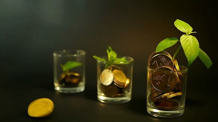 나무 식물 컨셉 잎 돈 비즈니스 모션 유리 성공 미래 잔 씨앗 사람없음 컵 초록색 금융 경제 노란색 달러 동전 검은색 저축 성장 항아리 시장 재산 황금 가격 컨테이너 무역 회전 투자 이익 가치 대출 관심 묘목 수입 자금 MOV 해외동영상 슬로모션 클립영상 식기 산업 컬러 재질 촬영기법 도자기 동영상 파일형식