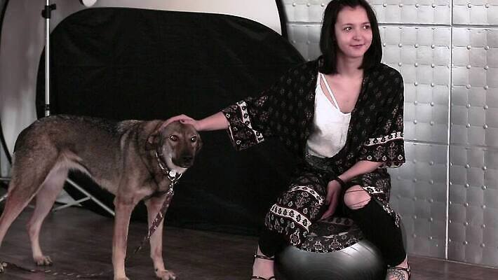 동물 손 응시 장갑 안내 병원 한명 앉기 치료 반려동물 산책 흰색 가르침 개 가죽 테리어 주인 수의사 구걸 경보 복종 MP4 해외동영상 클립영상 1 시선 잡화 교육 컬러 포유류 의학 모션 휴식 사람 신체부위 의사 동영상 파일형식