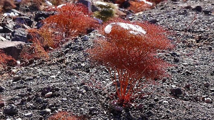 구름 공원 모래 여행 겨울 자국 자연 하늘 휴가 산 건조 파노라마 풍경 사람없음 야외 파란색 계곡 맑음 미국 트래킹 하이킹 사막 흰색 황무지 숲 언덕 캘리포니아 통과 내추럴 요세미티국립공원 전국 절정 4K MP4 해외동영상 클립영상 자연요소 계절 공공시설 컬러 북아메리카 레저 날씨 촬영기법 국립공원 생태계 동영상 파일형식