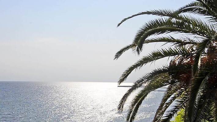 식물 모래 바다 여행 백그라운드 자연 하늘 사람없음 야외 가로 야자수 인도양 몰디브 열대기후 카피스페이스 MOV 해외동영상 클립영상 나무 아시아 공백 생태계 동영상 파일형식