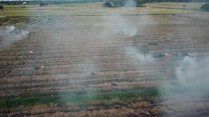 식물 계절 아시아 자연 불 사람없음 글로벌 농장 환경 손상 수확 오픈 뜨거움 잡초 오염 분위기 연기 농부 준비 밀짚 논밭 이산화탄소 재앙 세련 탄소 4K MOV 해외동영상 클립영상 자연요소 직업 나라 컨셉 밭 농업 논 짚 생태계 동영상 파일형식