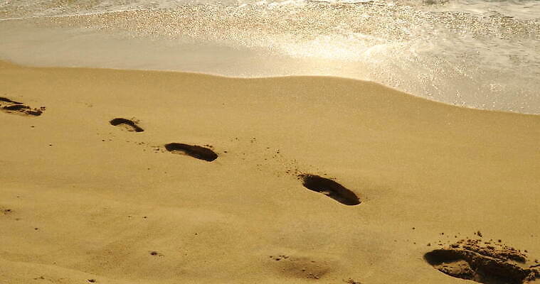 디자인 아시아 도로 모래 파도 여행 백그라운드 패턴 자연 추상 휴가 미술 사람없음 환경 맑음 희망 사막 시간 뜨거움 구멍 야간 저녁 사파리 언덕 질감 온도 동쪽 고립 방법 오해 진짜 케랄라주 4K MOV 해외동영상 클립영상 자연요소 감정 나라 길 바다 무늬 교통시설 날씨 문화예술 인도_나라 방향 생태계 동영상 파일형식