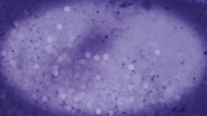 과학 미래 세포 엑스레이 나선형 건강 사람 사람없음 치료 약 디지털 망 혈액 진화 바이러스 질병 생명공학 생물학 회전 감염 미생물 염색체 암 물리학 복제 엘리먼트 유전 폴리곤 4K MP4 해외동영상 클립영상 교육 컨셉 무늬 의학 생물 소방 동영상 물리 파일형식