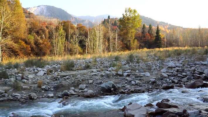 유럽 문화 벽 여행 건축양식 창문 자연 하늘 산 실내 사람없음 야외 건물 초록색 강 문 탑 중세 역사 재산 숲 대문 시멘트 단계 천연기념물 강화 고딕 랜드마크 옛날 막 4K MP4 해외동영상 클립영상 건축물 건축 나라 컬러 내부 금융 생태계 동영상 파일형식