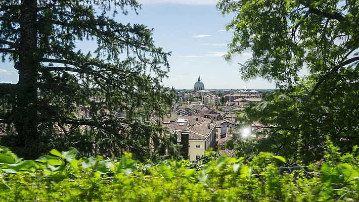 외관 유럽 문화 여행 건축양식 하늘 지붕 거리 주택 안테나 파노라마 풍경 사람없음 야외 건물 빨간색 강 도시풍경 교회 탑 이탈리아 궁전 도시 센터 중세 역사 도심 언덕 장면 타운 스카이라인 랜드마크 부다페스트 수도권 옛날 4K MOV 해외동영상 클립영상 건축물 건축 나라 컬러 고건축 통신 종교건축 촬영기법 지역 동영상 헝가리 파일형식