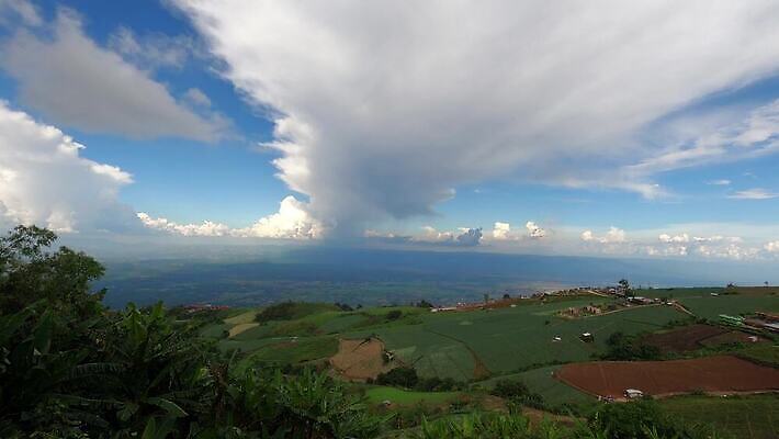 나무 구름 디자인 여행 밭 모션 자연 하늘 바람 날씨 국립공원 풍경 초원 사람없음 야외 여름 파란색 컬러풀 햇빛 일출 맑음 어둠 일몰 새벽 안개 가을 언덕 장면 산봉우리 내추럴 항공촬영 생태학 수평선 산맥 4K MP4 해외동영상 클립영상 자연요소 식물 계절 공원 교육 뷰포인트 컬러 농업 산 태양 노을 생태계 봉우리 동영상 파일형식
