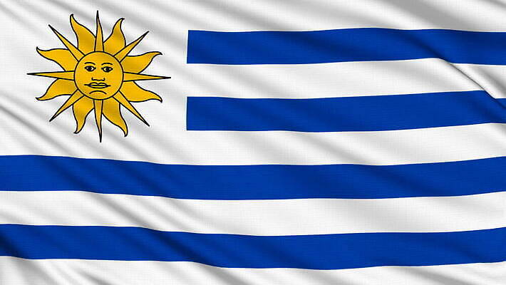 디자인 배너 문화 파도 여행 인터넷 비즈니스 바람 프레임 사람없음 그래픽 세계 글로벌 지구본 스크린 축하 깃발 직물 우아함 선거 가득함 심볼 오브젝트 싱글 질감 심플 애국심 서쪽 우루과이 전국 정부 진짜 효과 MOV 해외동영상 클립영상 자연요소 바다 컨셉 날씨 남아메리카 민주주의 방향 동영상 파일형식