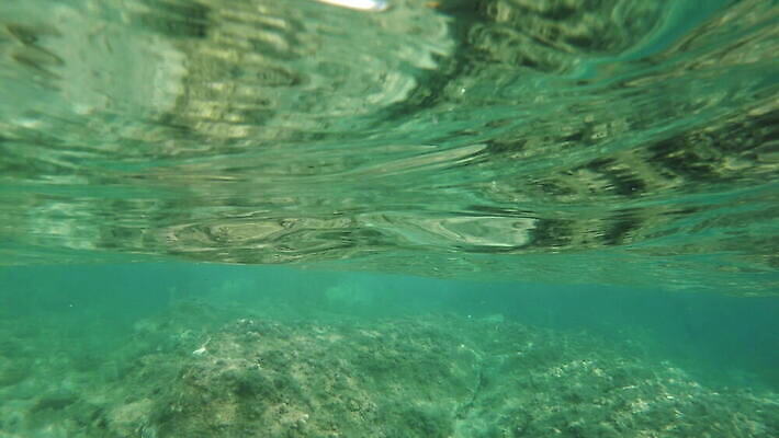 동물 야생동물 바다 컬러 여행 백그라운드 자연 멕시코 어류 사람없음 빨간색 물 여름 파란색 빛 햇빛 태양 뷰티 수중 수영 광선 동굴 산호 아래 사진사 생태계 다이빙 장면 암초 깊이 칸쿤 4K 수중영상 MOV 해외동영상 클립영상 자연요소 계절 북아메리카 수중동물 수상스포츠 자포동물 방향 작가 위치 동영상 수중스포츠 파일형식