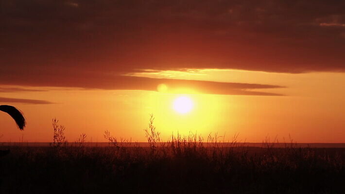 라이프스타일 계절 여자 실루엣 포즈 컨셉 밭 오렌지 모션 자연 하늘 성공 동화 추상 휴가 요정 따뜻함 관리 한명 들기 사람 야외 옆모습 빨간색 햇빛 태양 노란색 유행 걷기 일출 어둠 할로윈 광선 우승 무서움 망토 빗자루 언덕 마녀 스카이라인 10월 호러 MOV 해외동영상 클립영상 자연요소 1 감정 뷰포인트 컬러 무늬 농업 과일 촬영기법 생활 노을 최고 날짜 청소도구 생태계 공포 동영상 파일형식