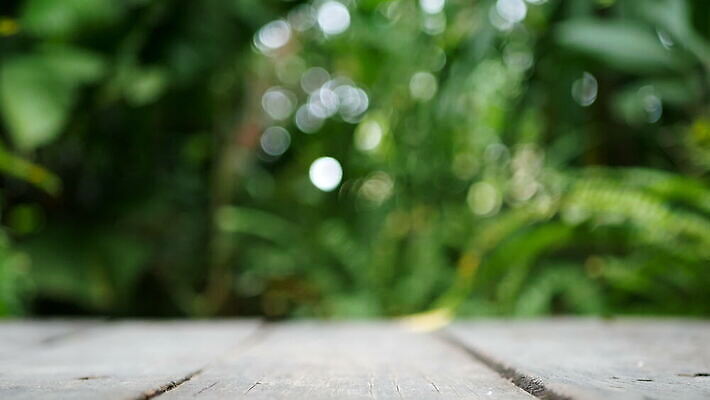 나무 식물 공원 컬러 백그라운드 잎 밭 바람 추상 휴식 사람없음 야외 목재 초록색 여름 빛 햇빛 농장 환경 정원 봄 상품 소프트포커스 숲 열대우림 흔들림 질감 내추럴 블러 카피스페이스 4K MOV 해외동영상 클립영상 자연요소 계절 공공시설 컨셉 무늬 농업 재료 모션 날씨 촬영기법 태양 공백 동영상 파일형식