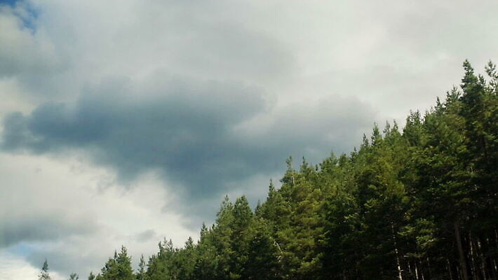 나무 밭 산 스웨덴 사람없음 계곡 시골 언덕 스칸디나비아 스톡홀름 MOV 해외동영상 클립영상 식물 농업 북유럽 동영상 파일형식