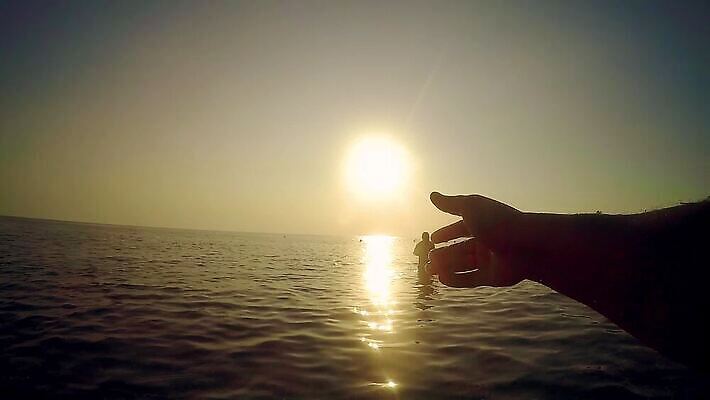 남자 실루엣 스포츠 백그라운드 놀이 휴가 휴식 사람 풍경 성인 야외 게임 던지기 원반 원반던지기 1인칭시점 MOV 해외동영상 슬로모션 클립영상 시선 스포츠용품 컨셉 모션 촬영기법 동영상 파일형식