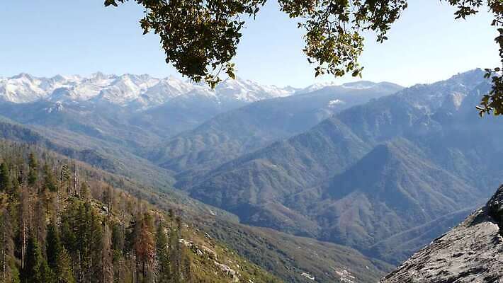 나무 자연 산 파노라마 국립공원 풍경 사람없음 여행객 미국 트래킹 하이킹 소나무 황무지 보호 정상 숲 큼 환경보전 그림 생태계 침엽수 첨탑 거인 삼림지대 요세미티국립공원 절정 조감도 수평선 4K MP4 해외동영상 클립영상 식물 공원 컨셉 북아메리카 레저 촬영기법 사람 탑 크기 사회이슈 캘리포니아 동영상 파일형식