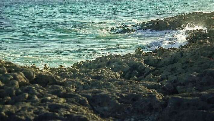 모래 파도 바다 섬 여행 우산 자연 휴가 불꽃 휴식 멕시코 손바닥 풍경 해변 사람없음 여름 관광지 야자수 태양 평화 일몰 뜨거움 충돌 묘사 휴양지 암초 마야 이국적 칸쿤 파라다이스 화창 4K MP4 해외동영상 클립영상 자연요소 나무 손 계절 컨셉 북아메리카 불 날씨 노을 장소 생태계 마야문명 동영상 파일형식