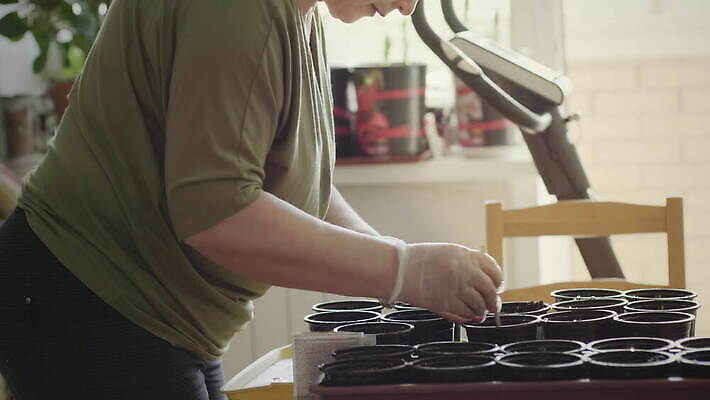 손 응시 계절 여자 꽃 화분 농업 채소 과일 주택 씨앗 한명 사람 새싹 주방 흙 잡기 플라스틱 뿌리기 확인 준비 유기농 원예 팔 내추럴 모종 바이오 밭일 심기 파종 4K MOV 해외동영상 클립영상 식물 1 웰빙 시선 산업 모션 재질 취미 건물 신체부위 농사 동영상 파일형식